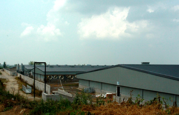 南京 農(nóng)大動物醫(yī)學院 (12).jpg